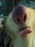 Noemi B...