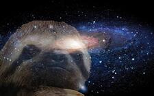 spacesloth