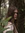 etiennewaves