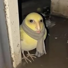 Monk