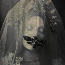 angel.beloved0