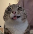 Andy