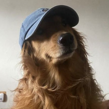 MB