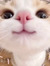 nuv