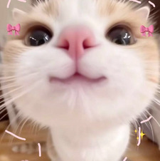 nuv 