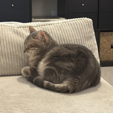 Léa