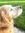 Tdogg