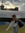 angelss