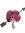 Lilith