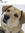 member photo member photo