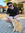 Jannis