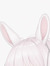 Bunni