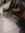 ‎lizzz . ݁⋆ ۶ৎ ݁˖ . ݁ 