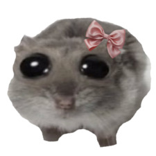 Isa