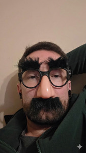 Dani