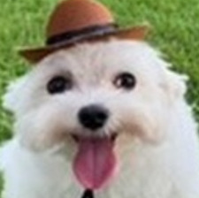 Pedro