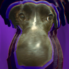Goose