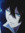 MOON ⋆...