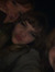 Eleanor...
