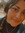Sofi Vidoret Codemo