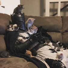 Reading Warrior 