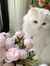 Fatma Al Sawy