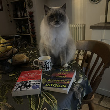 The Bookworm
