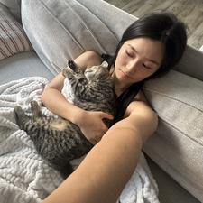 paula wang