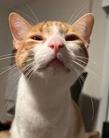 Axel