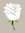 Rose McKittrick