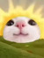 Pat