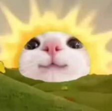 Pat