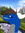 ItsJacenTheDragon
