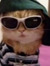 readerpaul