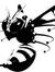 waspsnests