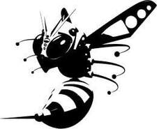 waspsnests