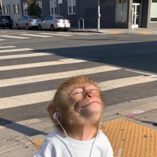 Samantha