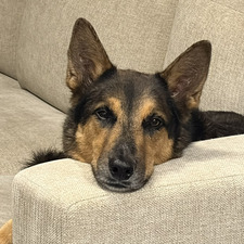 Maddy