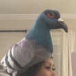🐦‍⬛