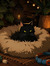 Judyta