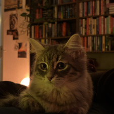 Quinty