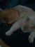 Abby