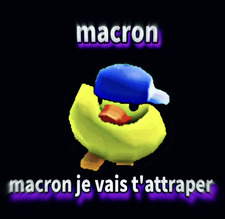 Livack