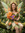 member photo member photo