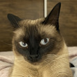 Beatriz