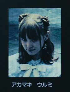 dollface