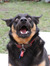 Nick