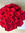 Rosas y Libros