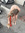 Svea