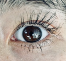 ⋆˚࿔ allison ˎˊ˗ 